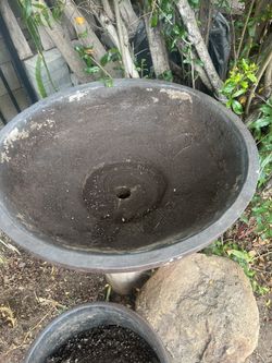 Pot