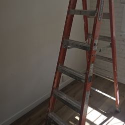 6 Foot Ladder 