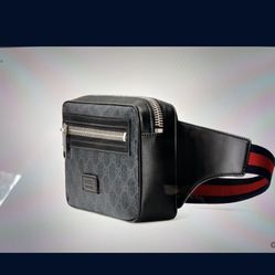 Gucci Fanni Pack , Comes With Box And Dust Cover