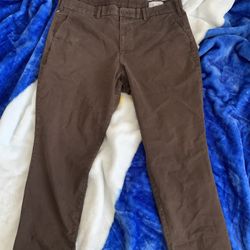 Gap Pants 