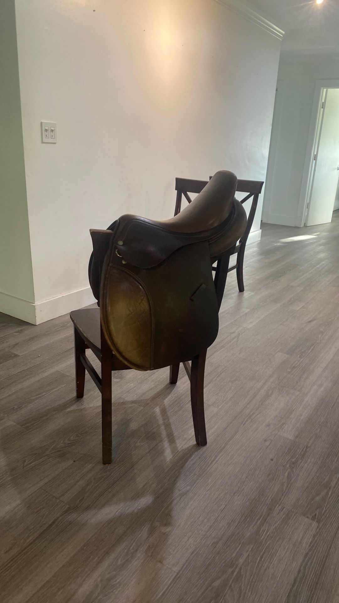 Equestrian saddle