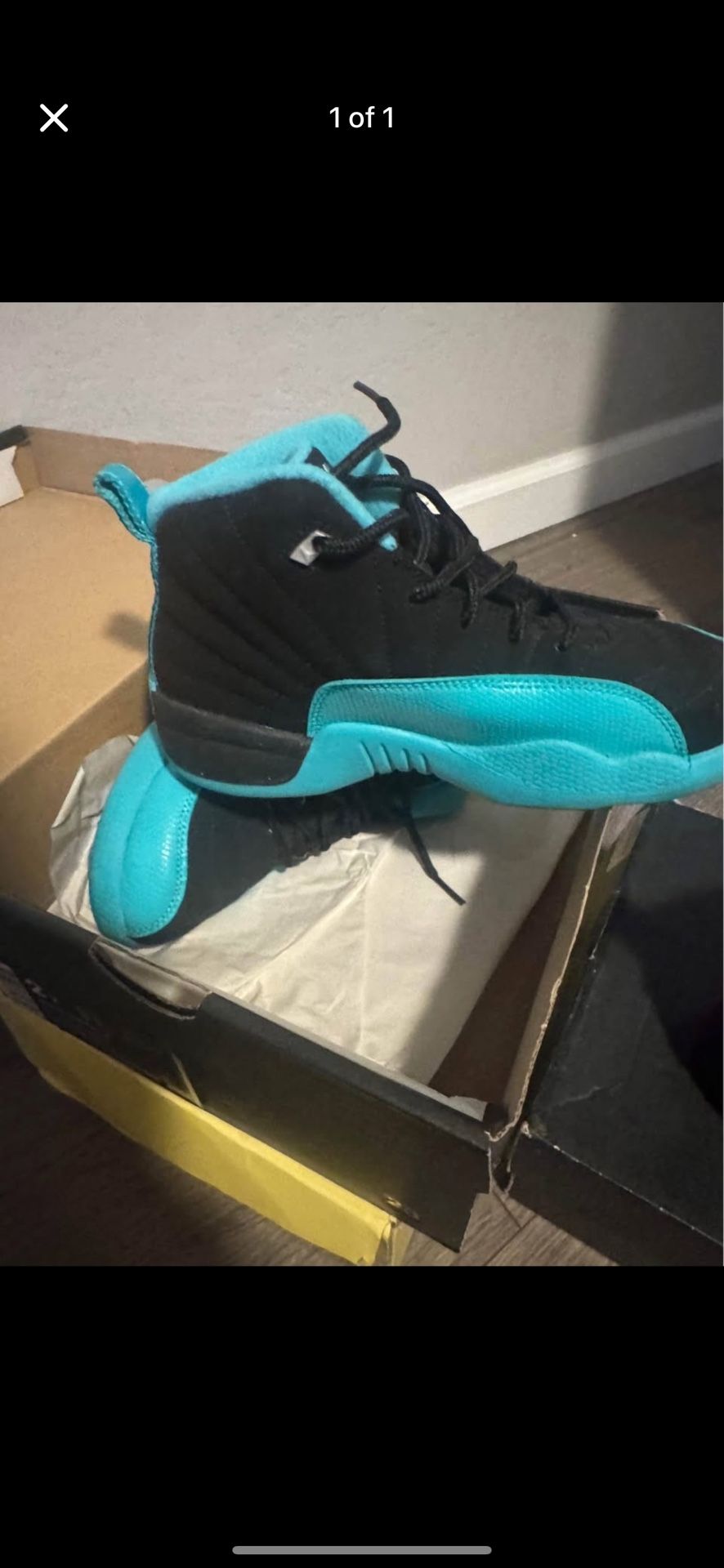 Kids Jordan’s 12’s