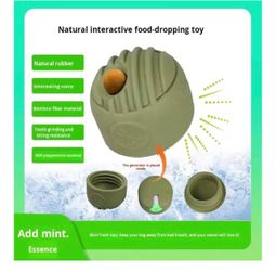 Interactive Dog and cat Treat Toy -