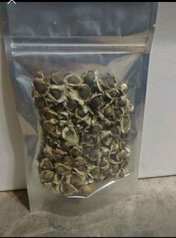Moringa seeds\ Semilla de moringa