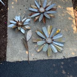 Garden Flowers