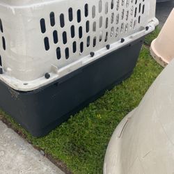 Dog House 