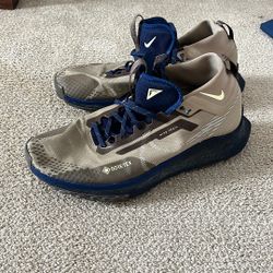 Nike Trail Pegasus - Gore-Tex
