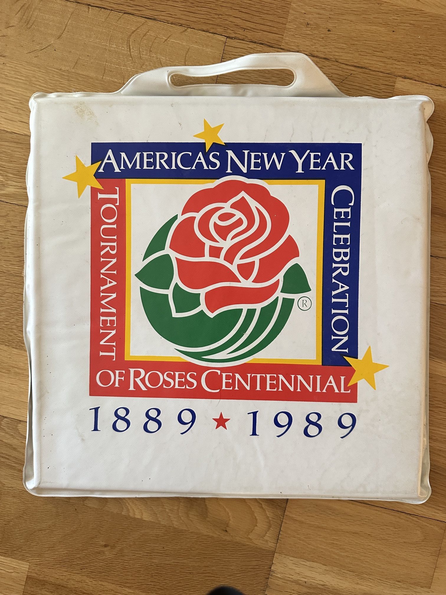 Historic Stadium Pillow