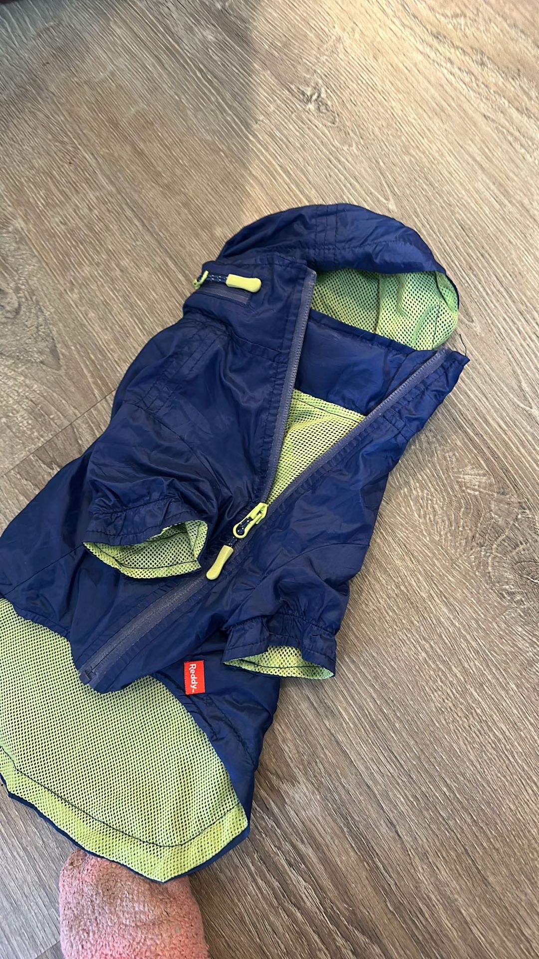 Doggie Windbreaker Jacket (Reddy Brand)