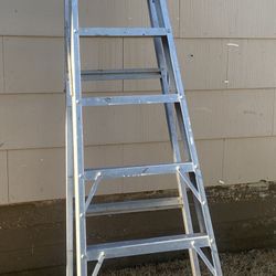 Ladder 8’ft