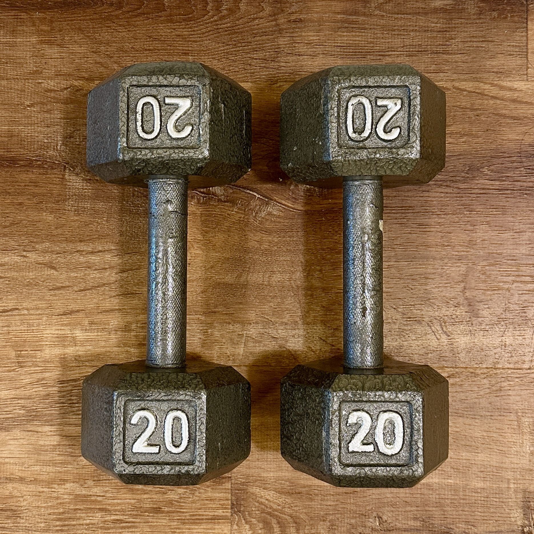 20 Pound Dumbbell Set