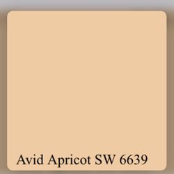 New Sherwin Williams Paint in Avid Apricot