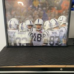 Colts Super Bowl Picture