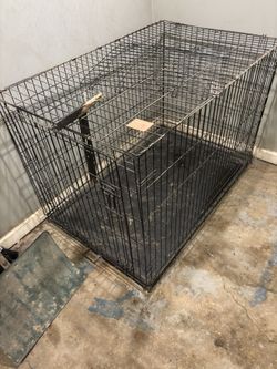 Dog Cage 