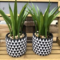 Farmhouse Home Decoration Black White Triangle Design Ceramic Potted Plants Set Of 2