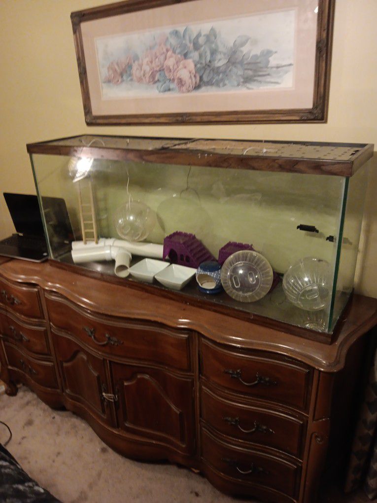 55 gallon fish tank last used for . Small animals it holds was used as a fish tank