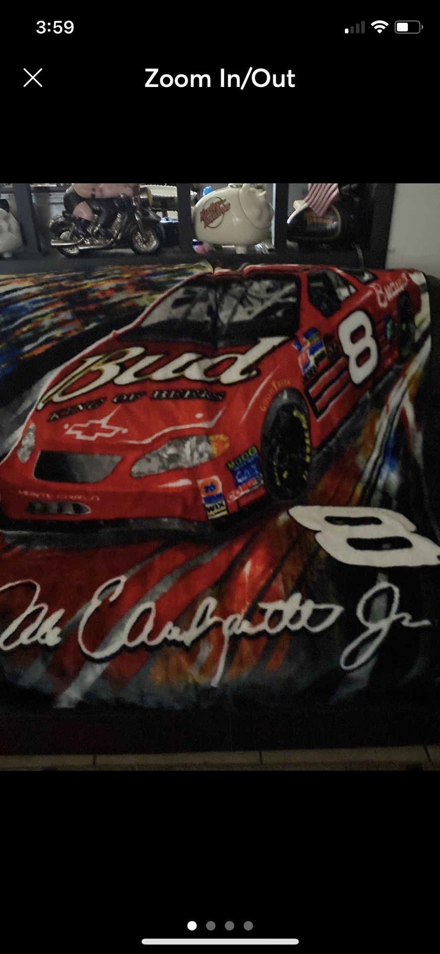 NASCAR Dale Earnhardt Jr Blanket/throw