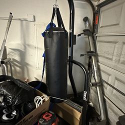 Punching bag and stand 