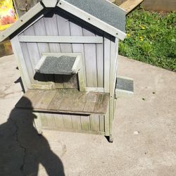 Cat House 