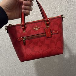 Mini coach purse