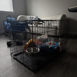 Dog crate and supplies