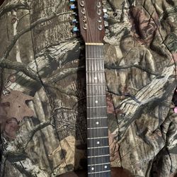 Crestwood 12 String Acoustic Guitar