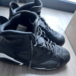 Jordan 6 Black Cats