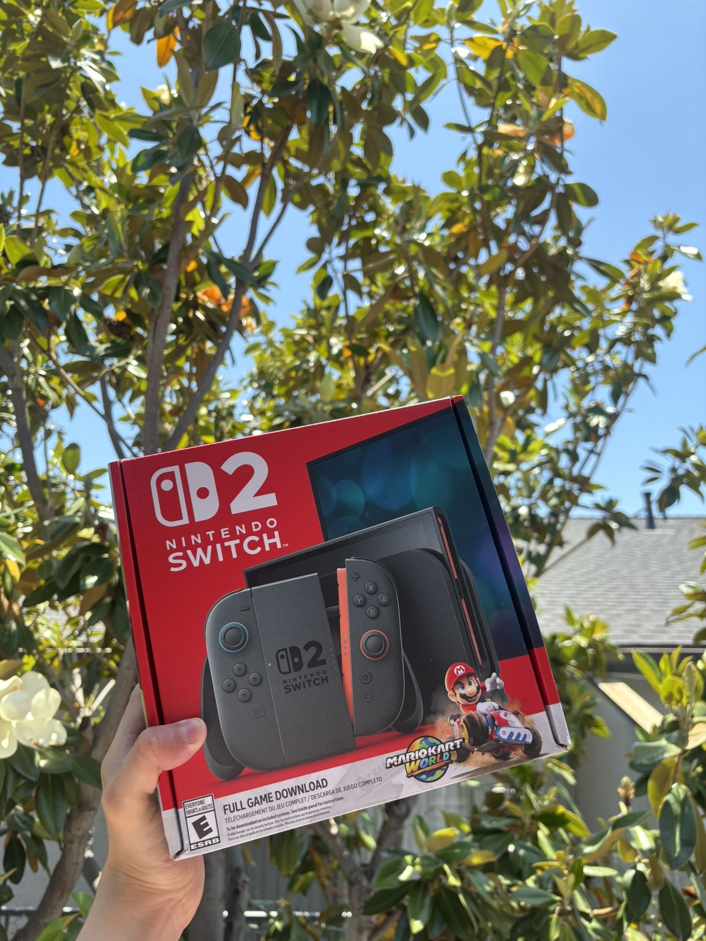 Nintendo Switch 2 + Mario Kart World Bundle Console + Game