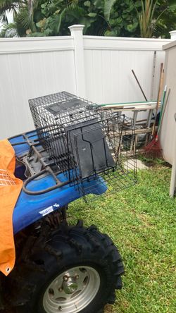 Animal trap