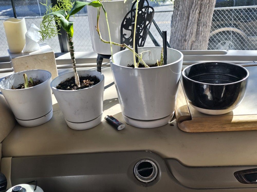 Heavy Quality White Ceramic Flower Pots (Plants  NOT Included) ONE 2 Toned Ceramic  Flower Bowl