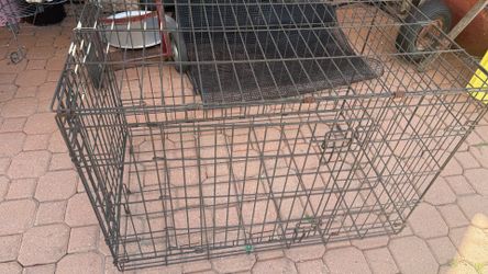 Large cage 36x24x20