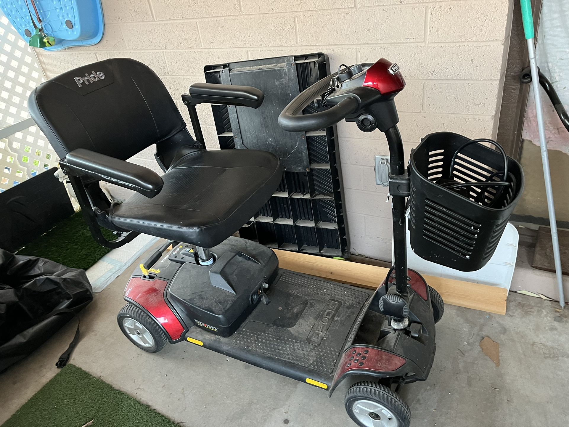 Adult scooter