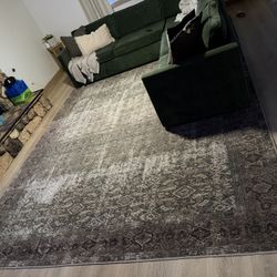 Amber Lewis X Loloi Moss/salmon 10 X 14 Area Rug