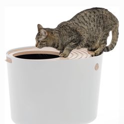 Cat Litter Box