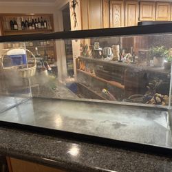Fish Tanks And Accessories 