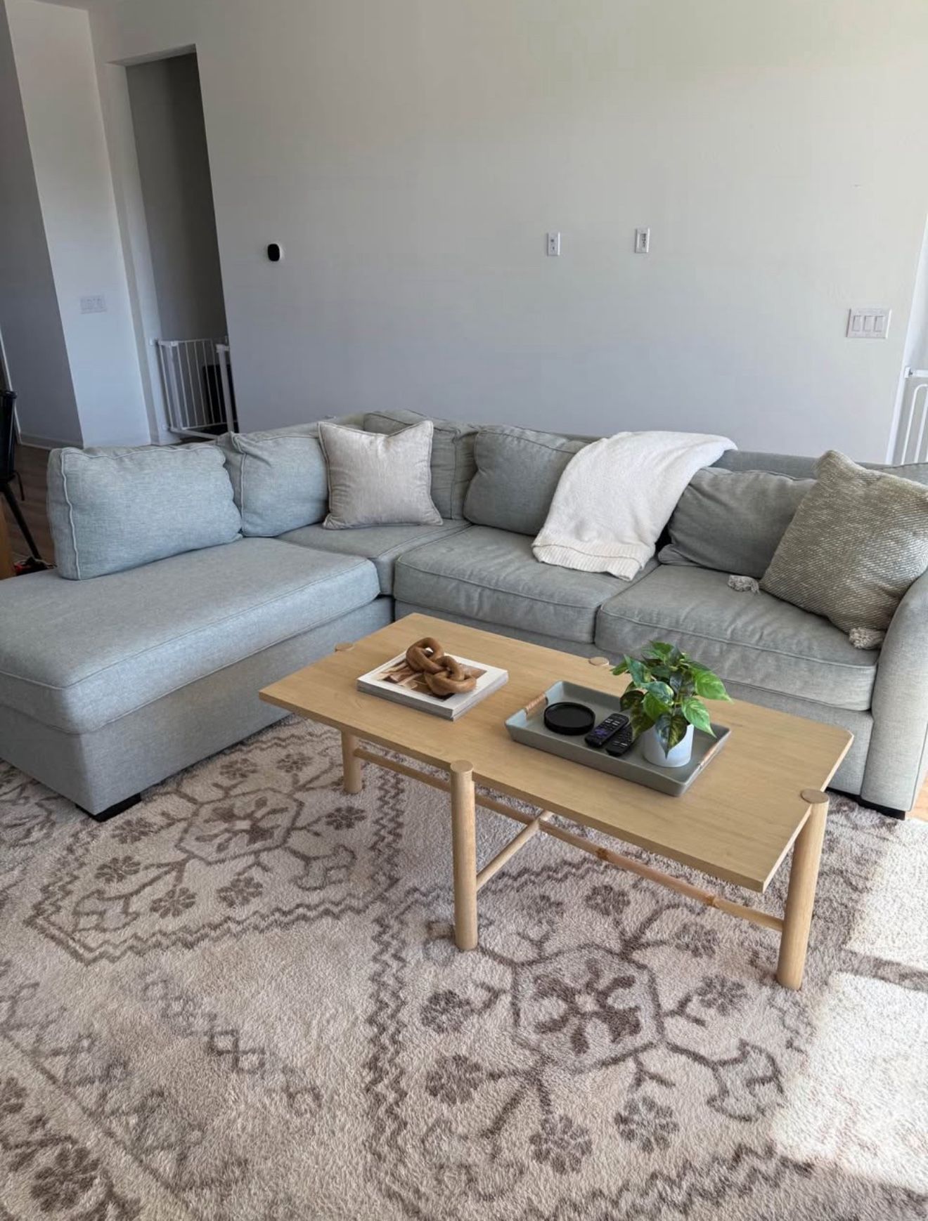 Living Spaces Pull Out Couch