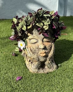 planter woman's head