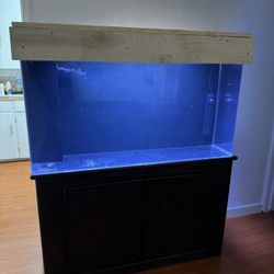 80 Gallon Acrylic Aquarium Setup 