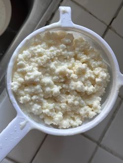 Búlgaros/kefir
