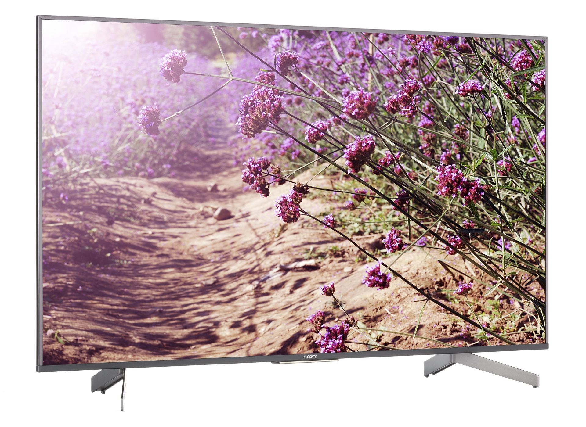 Sony 55 TV