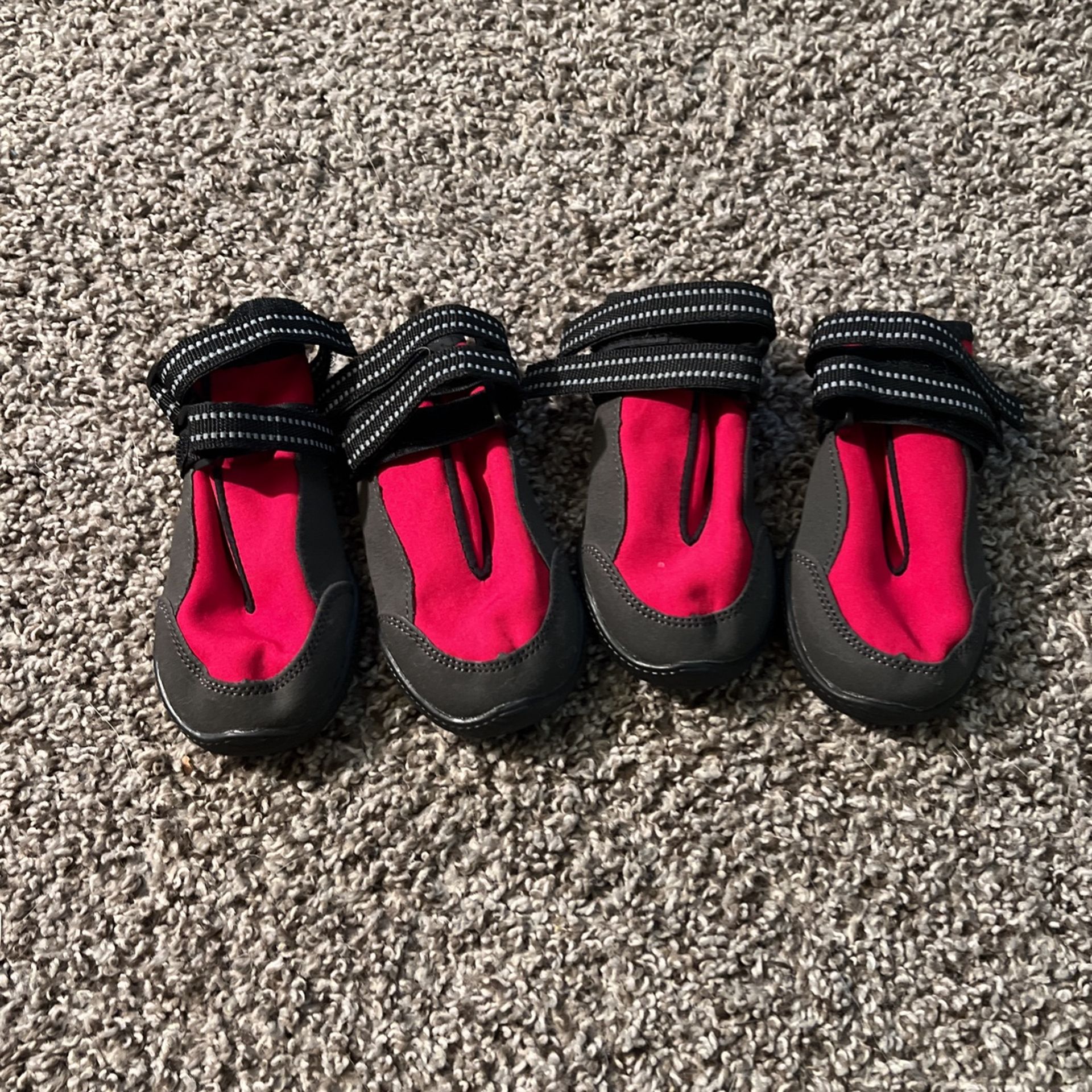 Large Dog Shoes 
