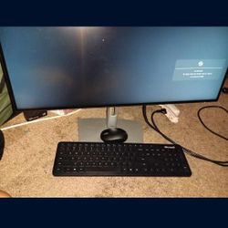 Dell Computer Monitor 