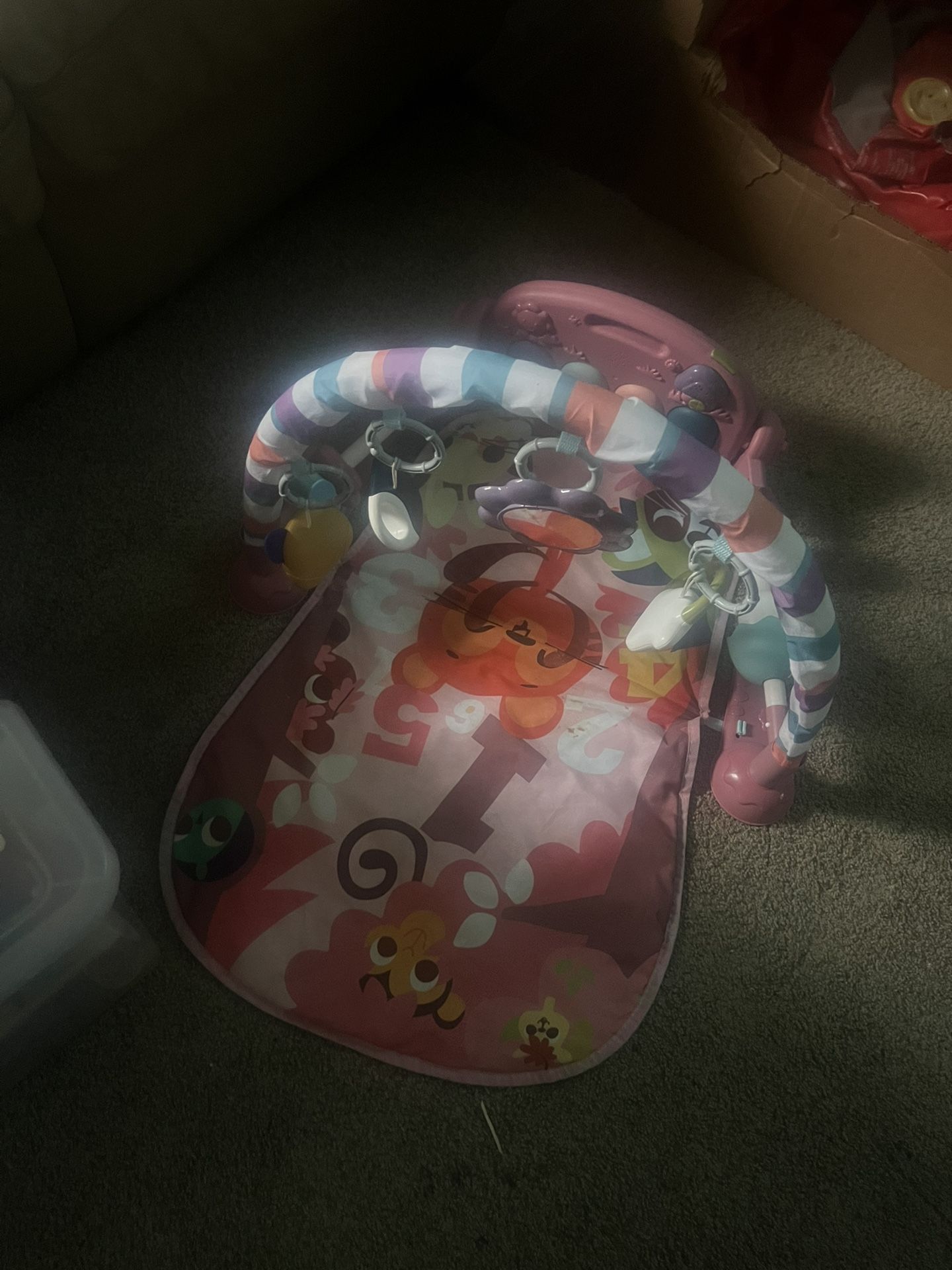 Baby Playmat