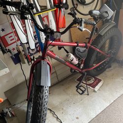 Mongoose Fat Tire Mountain Bike