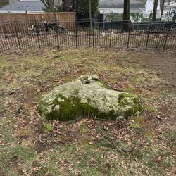 FREE Large Landscaping Rock You Haul