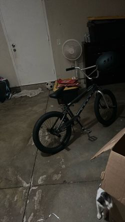 Rebel Mongoose