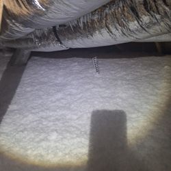 I Will Work For Insulation In The Roof, Walls, And remove. 