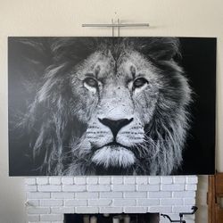 Lion print