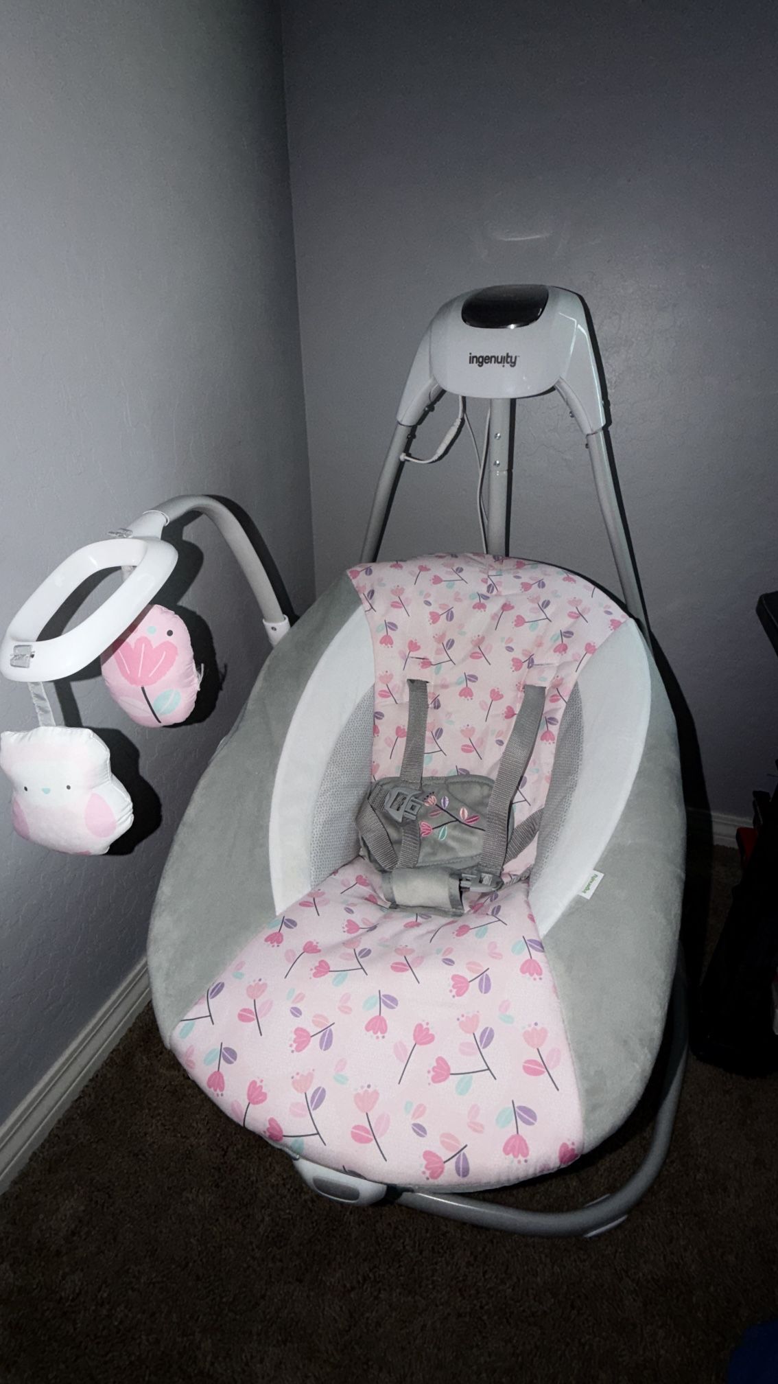 Baby Girl Swing