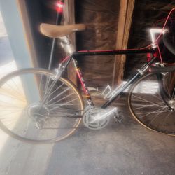 Trek 1983 Vintage 10 Speed touring 640